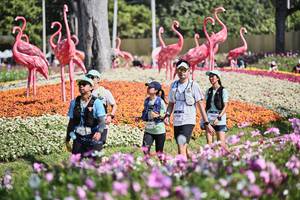 BIB: 
                            <button type="button" onclick="openModal(27794233)" class="btn btn-primary btn-sm float-right btn-popup" data-toggle="modal" data-target=".modal-high-quality">
                        <i class="fas fa-shopping-cart"></i> Add to Cart
                    </button>
                                            <button type="button" onclick="isThisMe(27794233, true)" class="btn btn-success btn-sm float-right btn-popup btn-isme hidden" data-toggle="tooltip" data-placement="bottom" title="นี่คือรูปของคุณใช่ไหม คลิกที่นี่เพื่อเอาเข้าอัลบั้ม">
                        <i class="fas fa-plus"></i> Add to album
                    </button>
                    <button type="button" onclick="isThisMe(27794233, false)" class="btn btn-warning btn-sm float-right btn-popup btn-isnotme hidden">
                        <i class="fas fa-ban"></i> Remove from album
                    </button>